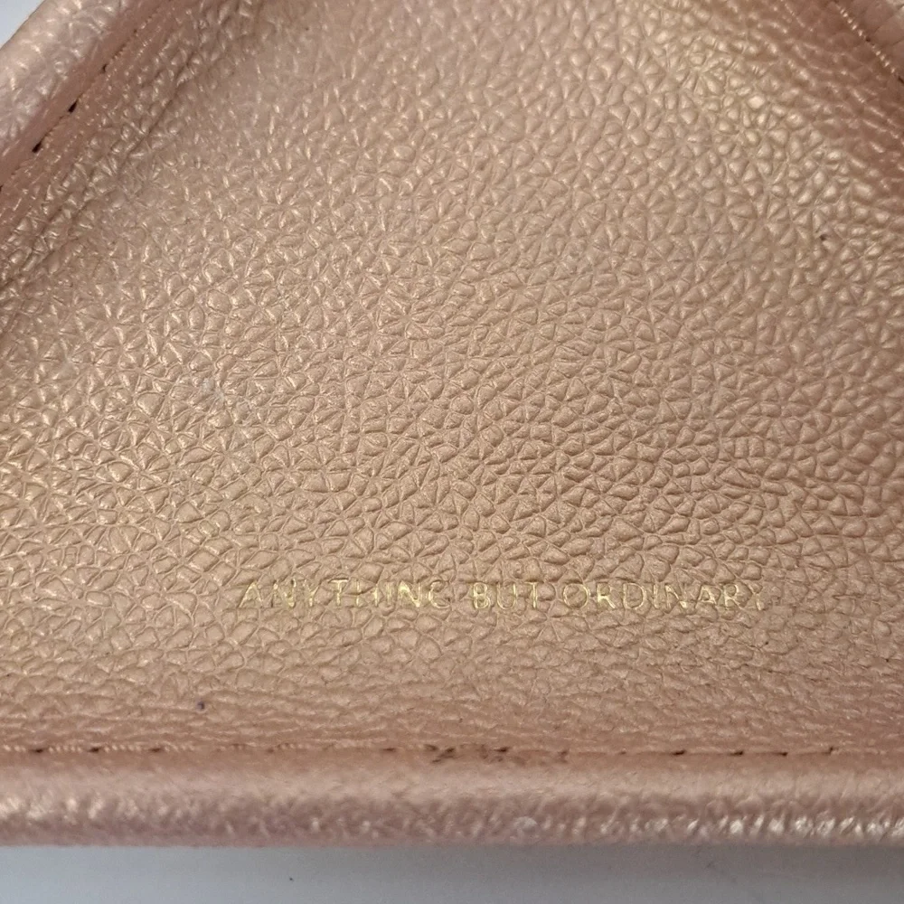 Anthropologie small leather
